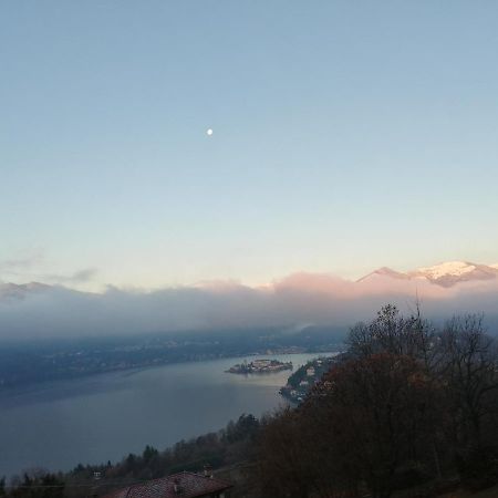 Cottage Sotto Il Faggio Centenario Ameno Екстериор снимка