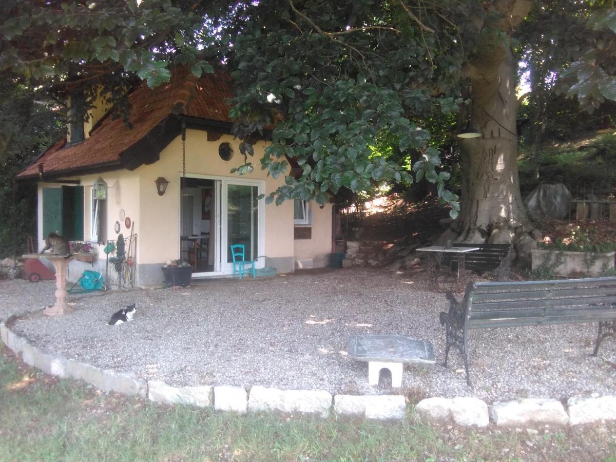 Cottage Sotto Il Faggio Centenario Ameno Екстериор снимка