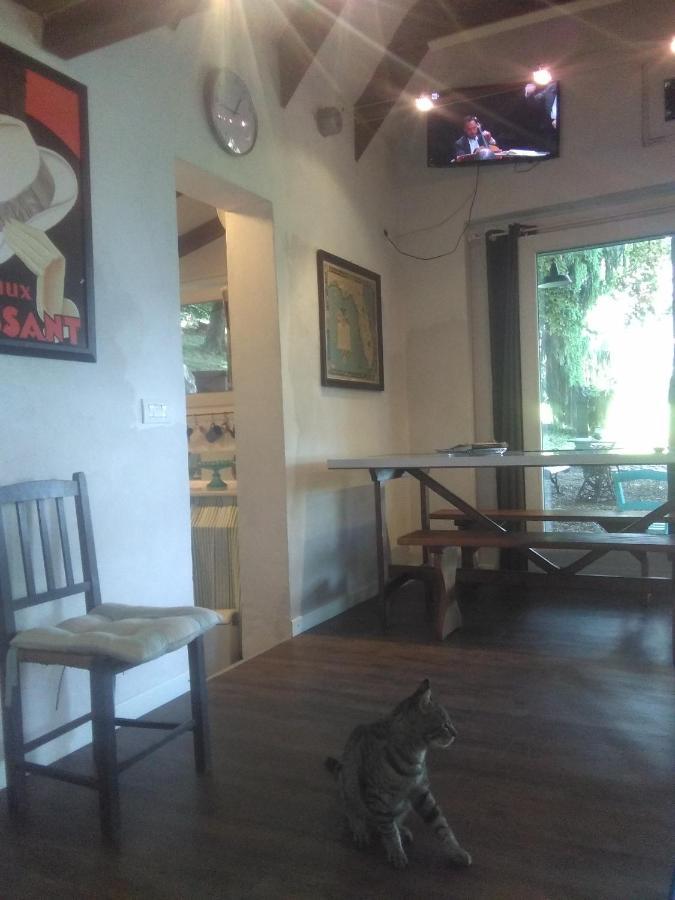 Cottage Sotto Il Faggio Centenario Ameno Екстериор снимка