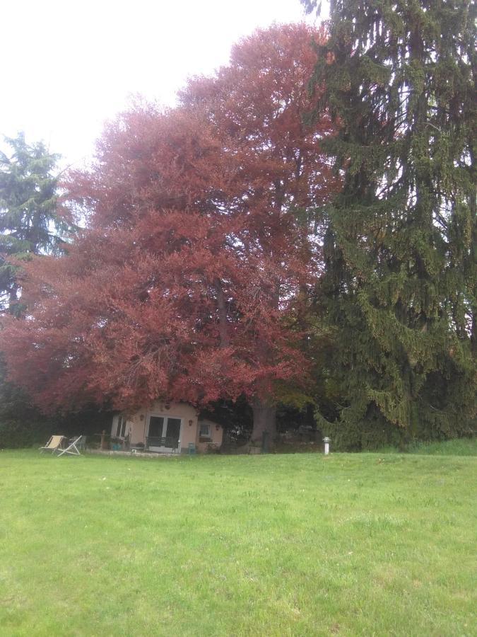 Cottage Sotto Il Faggio Centenario Ameno Екстериор снимка