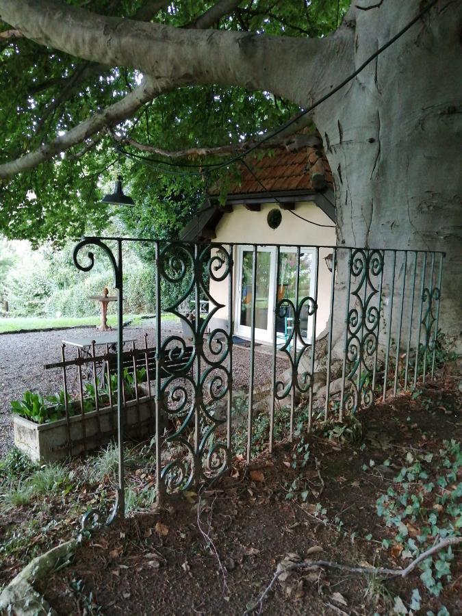 Cottage Sotto Il Faggio Centenario Ameno Екстериор снимка