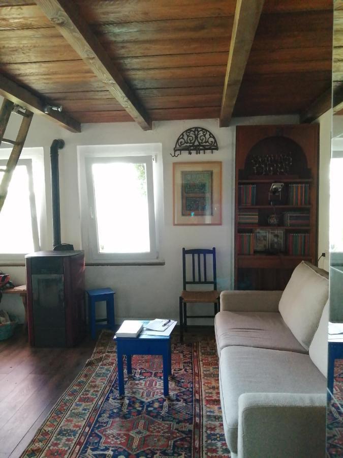 Cottage Sotto Il Faggio Centenario Ameno Екстериор снимка