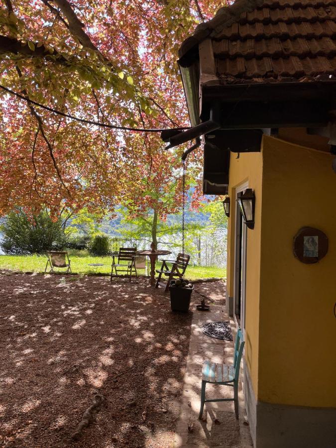 Cottage Sotto Il Faggio Centenario Ameno Екстериор снимка