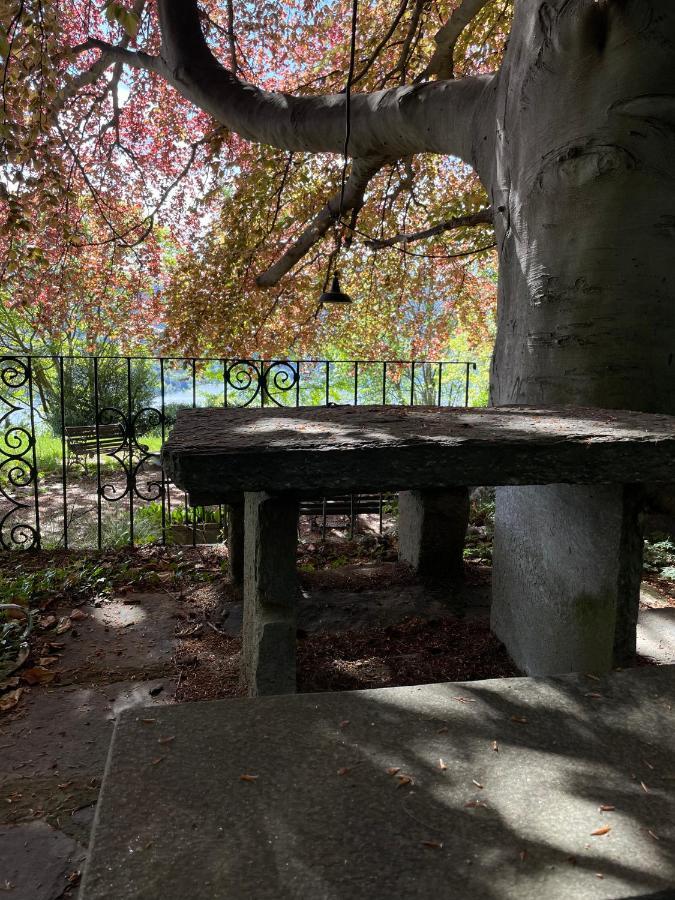 Cottage Sotto Il Faggio Centenario Ameno Екстериор снимка